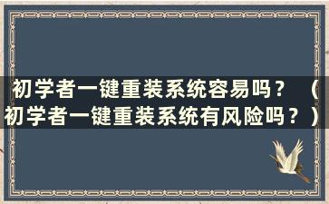 初学者一键重装系统容易吗？ （初学者一键重装系统有风险吗？）